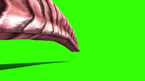 Giant Worm Monster Crawl Back Green Screen 3D Rendering Animation Stock Footage 81029701