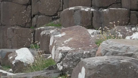 Giant's Causeway, Ireland features hexagonal basalt columns, a geological Stock-Footage 311757094