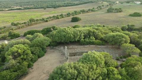 Giant's Tomb Li Loghi, Ancient Sardinia, Sunset Drone Clip Circling, 1600 BC, 4K Stock Footage 170648317