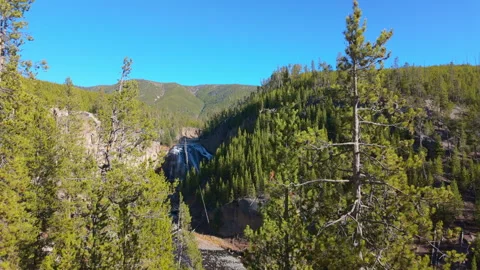 Gibbon Falls Through Forest Trees in Yellowstone Stock Footage 320034176