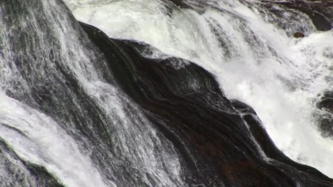Gibbon Falls in Yellowstone Vídeo Stock 72571664