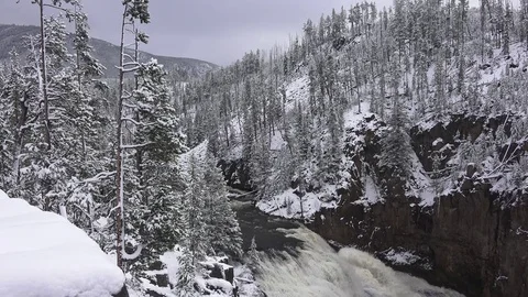 Gibbon Falls Yellowstone NP, high water flowing Stock Footage