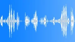 Gibbons callSound Effect