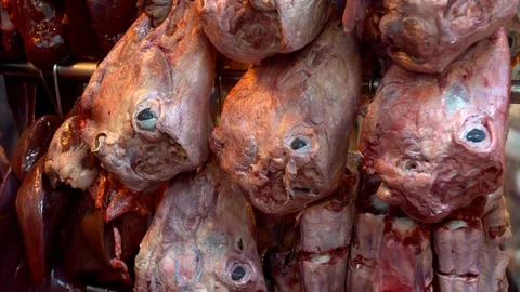 Giblets Stock Footage 103846800