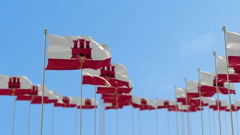 Gibraltar Row Of Flags 3D Animation Stock-Footage 148694550