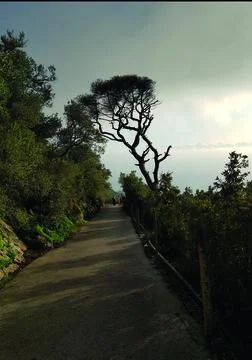 Gibraltar walking path Stock Photos