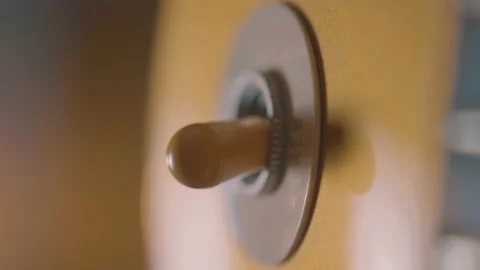 Gibson Les Paul Goldtop Toggle Switch Stock Footage 171552307