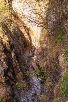 The Giessenbach Gorge Stock Photos
