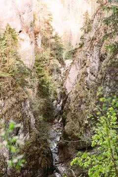 The Giessenbach Gorge Stock Photos