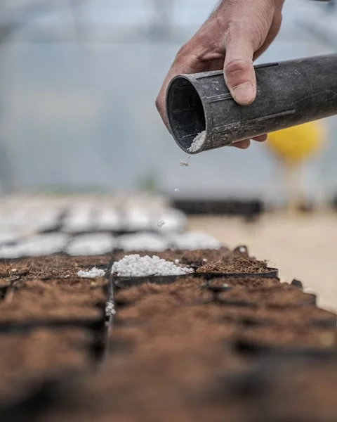 GIF JM Video stock 147914733