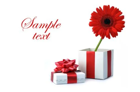 Gift and red flower Stock Illustration