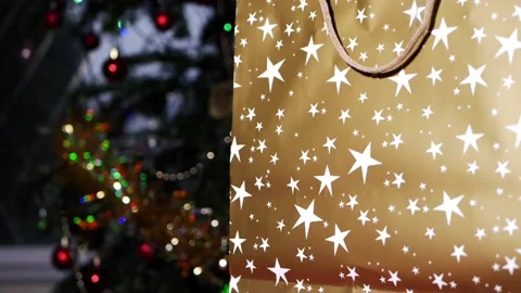 Gift bag with Christmas tree in background Stock Footage 169605408
