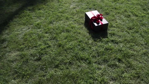 Gift in a beautiful package on the grass Stock Footage 140680887