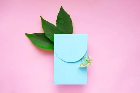 Gift blue envelope with white flowers and green leaves Stock Photos
