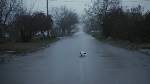 Gift bouquet Stock Footage 133716281