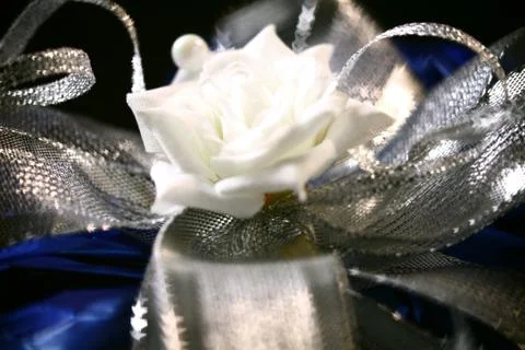 Gift bow Stock Photos