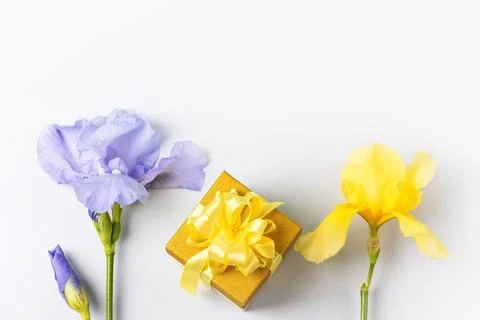 Gift box and purple iris flowers Stock Photos