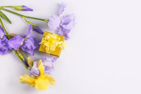 Gift box and purple iris flowers Stock Photos