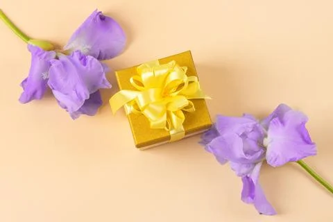 Gift box and purple iris flowers Stock Photos
