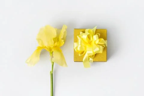 Gift box and yellow iris flowers Stock Photos