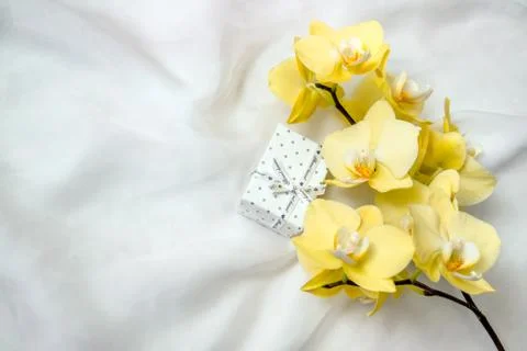 Gift box on a background of yellow orchids Photos