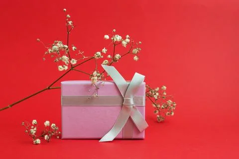 Gift box with bow Stock Photos