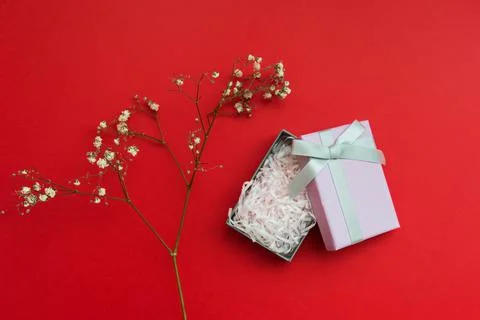 Gift box with bow Stock Photos