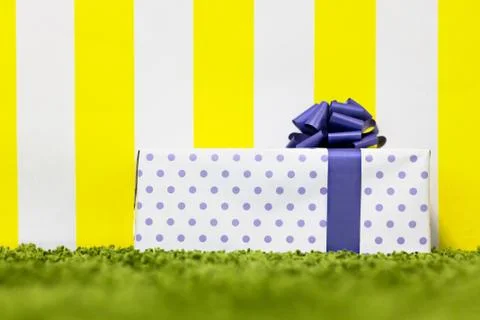 Gift Box on Bright Background. Copy Space Stock Photos