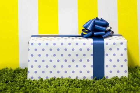 Gift Box on Bright Background. Copy Space Stock Photos