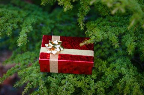 Gift box on christmas tree Stock Photos