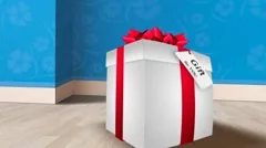 Gift Box Commercial Stock After Effects