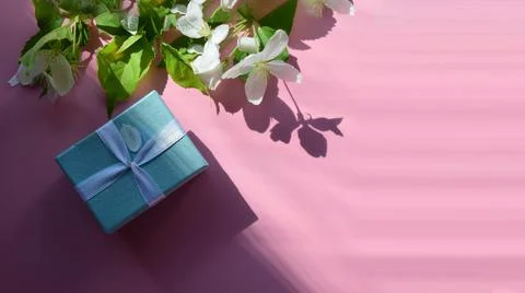 Gift box with flowers of an apple tree on a pink background. Beautiful banner Stock Photos