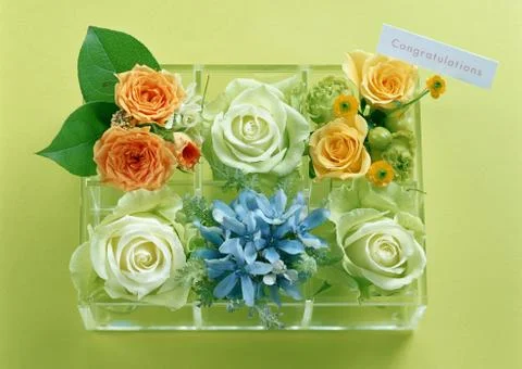 Gift Box flowers Stock Photos