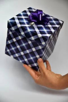Gift box in hands. Stock Photos