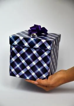 Gift box in hands. Stock Photos