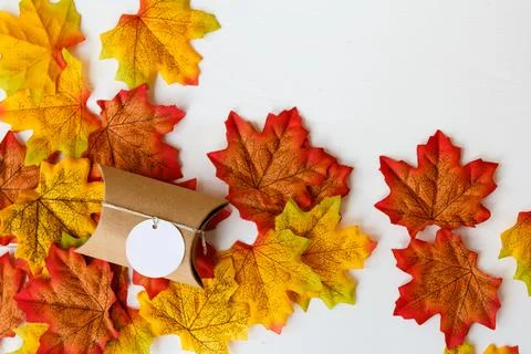 The gift box , maple leaf and  tag for text with white background Stock Photos
