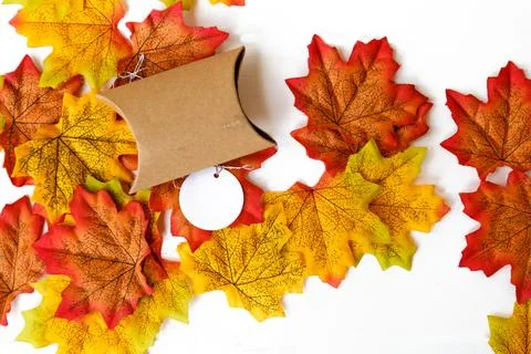 The gift box , maple leaf and  tag for text with white background Stock Photos