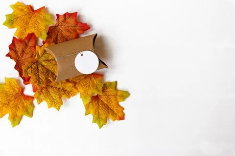 The gift box , maple leaf and space for text with white background Stock Photos