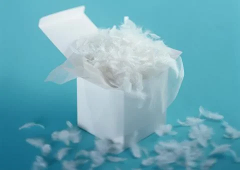 Gift Box Stock Photos