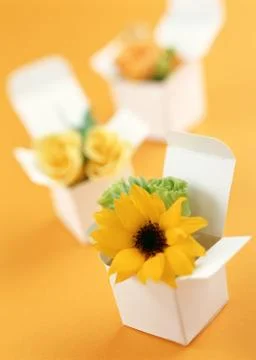 Gift Box Stock Photos