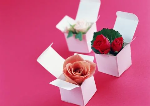 Gift Box Stock Photos