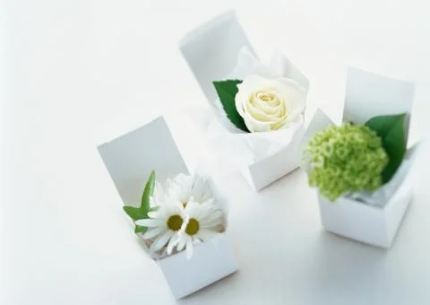 Gift Box Foto stock