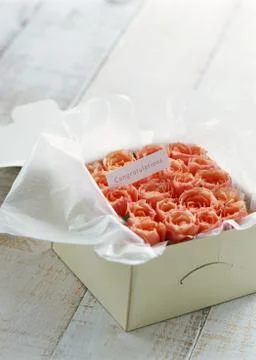 Gift Box Stock Photos