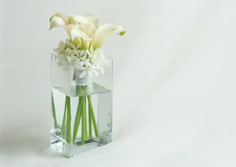 Gift Box Stock Photos