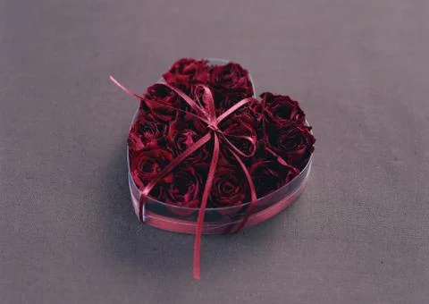 Gift Box Stock Photos