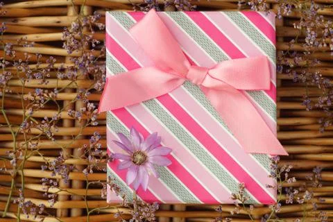 Gift box with a pink bow Stock Photos