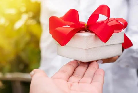 Gift box with the red bow Stock Photos