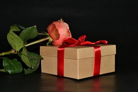 Gift box with red bow, pink rose on a black background. Space for text Foto stock