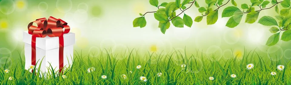 Gift Box Spring Grass Beech Twigs Header 스톡 일러스트