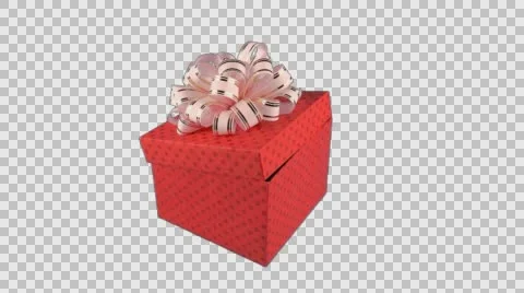 Gift box with surprise, cute funny hedgehog, alpha matte channel Stock Footage 63034774